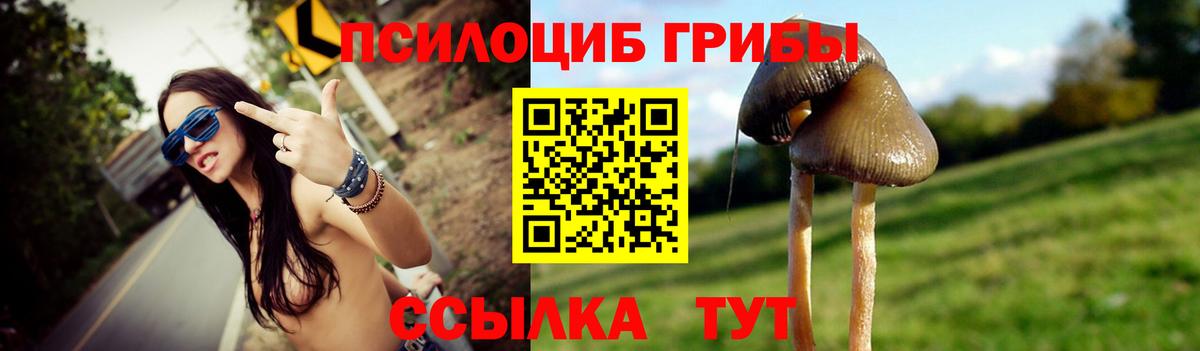 Ессентуки  Псилоцибиновые грибы мухоморы  Вход с VPN 